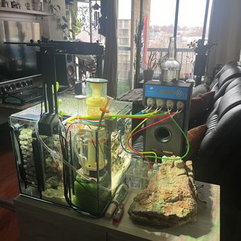 Reef eScape - At home auto dosing system - Aquarium Services Near Me - Fairfax, Virginia