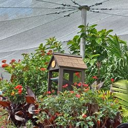 Bambi's Butterfly House