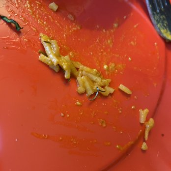 Curryland - Flavor was good until I discovered a piece of metal in my paneer tikka masala  Paneer Tikka Masala - Indian Near Me - Newport, Rhode Island