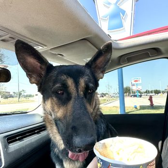 Dutch Bros Coffee - Juice Bars & Smoothies Near Me - Katy, Texas