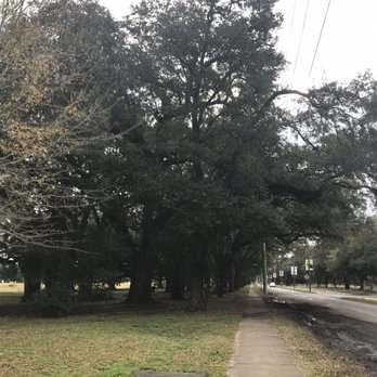 Audubon Park - Parks Near Me - New Orleans, Louisiana Audubon Park - Parks Near Me - New Orleans, Louisiana
