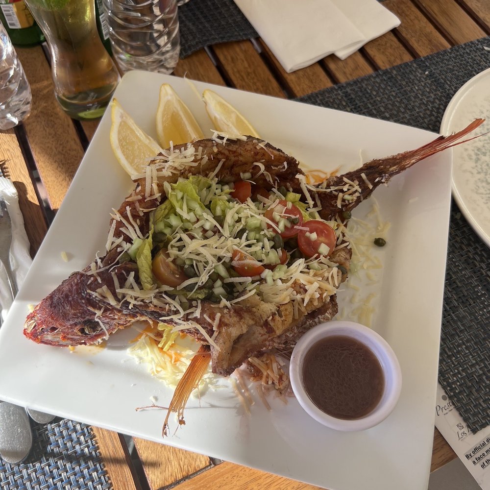 Oyster Bar - Red Snapper - Seafood Near Me - Cabo San Lucas, BCS Oyster Bar - Red Snapper - Seafood Near Me - Cabo San Lucas, BCS