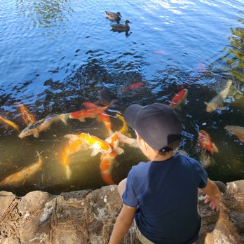 Moanalua Gardens - Such a fun experience for the kids. - Parks Near Me - Honolulu, Hawaii