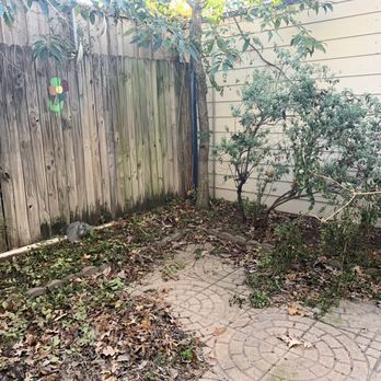 Sequoia Tree Service - Before picture of backyard. Tons of weeds, dying bushes, fall leaves, and vines. - Tree Services Near Me - Dallas, Texas