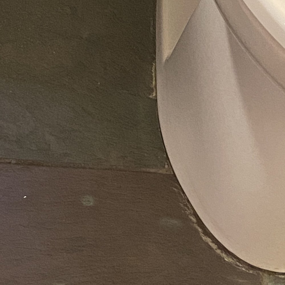 Sonoma Coast Villa - Floor near toilet - Hotels Near Me - Bodega, California Sonoma Coast Villa - Floor near toilet - Hotels Near Me - Bodega, California
