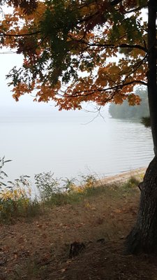 Interlochen State Park by null