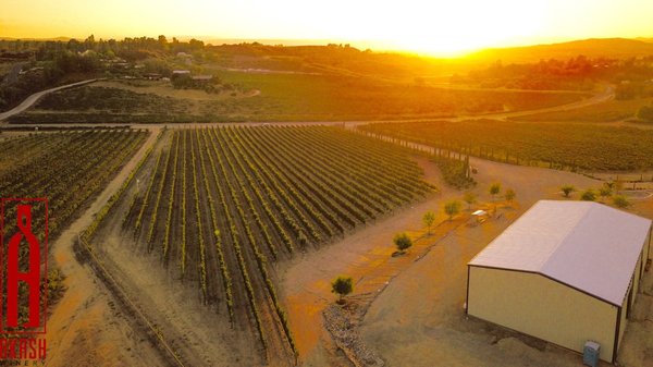 Akash Winery & Vineyard by null