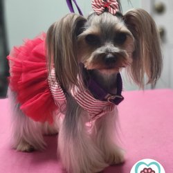 Dora’s grooming