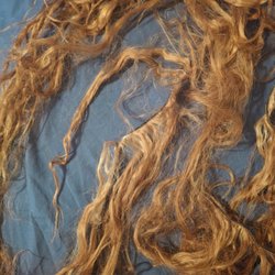 This is the hair