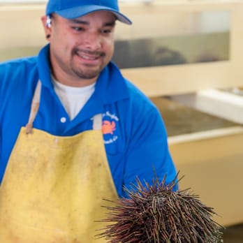 Quality Seafood - Employee holding the huge 3-4lb sea urchin - Seafood Markets Near Me - Redondo Beach, California