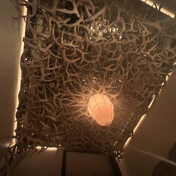 Trophy Room - Ceiling - Cocktail Bars Near Me - Phoenix, Arizona
