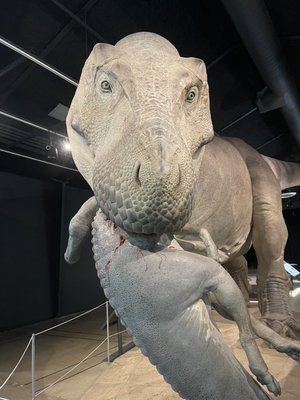 Discovery Center of Idaho by null