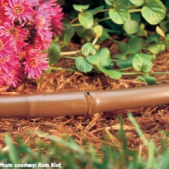Rainmaker Irrigation Co - Efficient Drip Irrigation for Shrubs - Irrigation Near Me - Huntersville, North Carolina