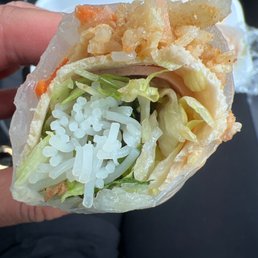 Spring Rolls