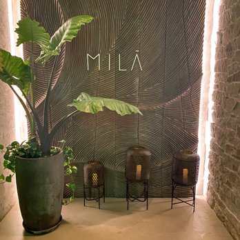 MILA Restaurant - Mediterranean Near Me - Miami Beach, Florida