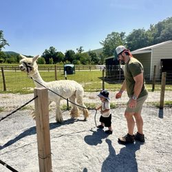 Ellaberry Llama Farm