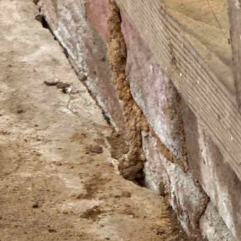 All Seasons Pest Control - Pest Control Near Me