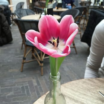Pablo - Decoration - Cafes Near Me - Münster, NW