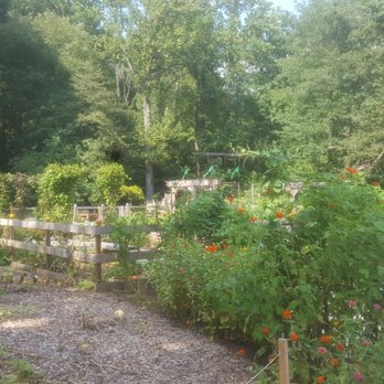 Tyler Arboretum - Edible garden - Summer Camps Near Me - Media, Pennsylvania