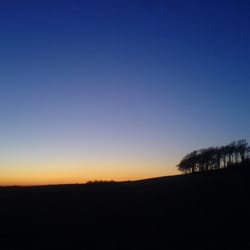 Chanctonbury Ring - Chanctonbury at dusk.