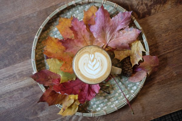 Rustle & Still Café by null
