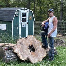Log Art and Design - Stump table top slabs milled with the new 92cc beast of a 44 lb. Hot butter knife of a chainsaw.