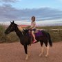 Photo of Whispering Trails Equestrian Center