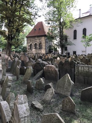 Jewish Museum in Prague by null