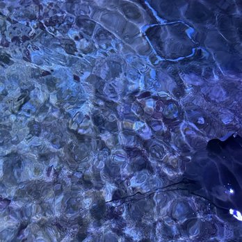 Key West Aquarium - Aquariums Near Me - Key West, Florida