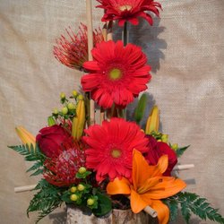 Suncoast Florist