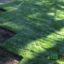 Ecoscaping Landscape & Construction - Lawn care, maintenance, lawn installation, sod installation services from Ecoscaping Landscape & Construction.