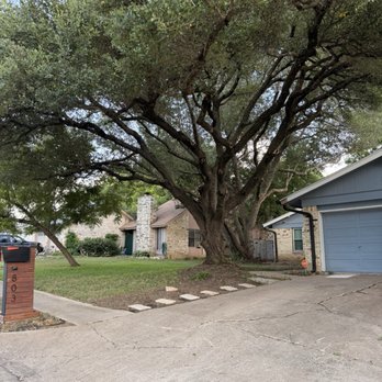 Joe’s Trees and Lands - Tree Services Near Me - Austin, Texas