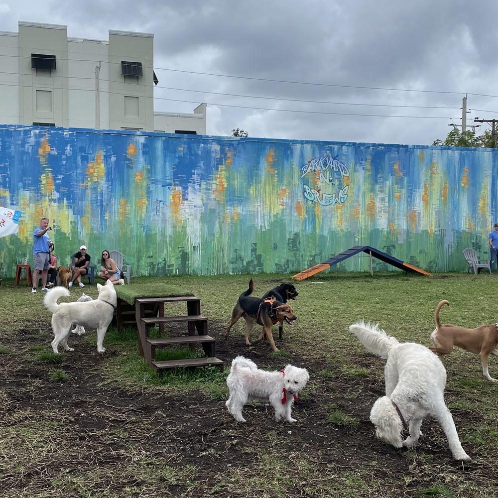 Barkyard n' Brews - Dog Parks Near Me - Fort Lauderdale, Florida Barkyard n' Brews - Dog Parks Near Me - Fort Lauderdale, Florida