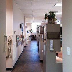Castle Dental & Orthodontics - Castle Dental in Katy, TX