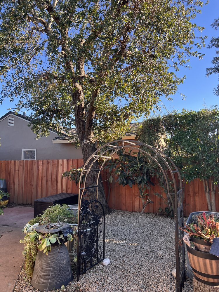 Rivera Gardening Services - tree service in San Francisco, CA