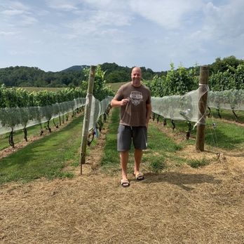 Three Fox Vineyards & Brewery - Wineries Near Me - Delaplane, Virginia Three Fox Vineyards & Brewery - Wineries Near Me - Delaplane, Virginia