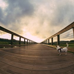 Julie J Metz Neabsco Creek Wetlands Preserve - Boardwalk