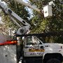 Photo of Central Florida ArborCare