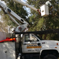 Central Florida ArborCare - Getting my trees hurricane ready!