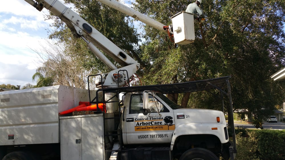 Central Florida ArborCare - tree service in Apopka, FL