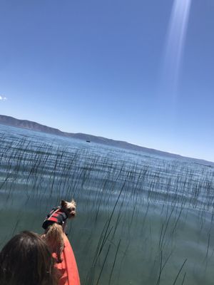 Bear Lake State Park by null