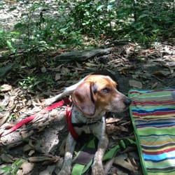 Rolling Hill Park - Katie's first visit to Rolling Hill Park