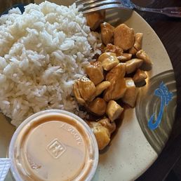 Teriyaki Chicken