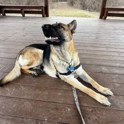 Chestnut Ridge Metro Park