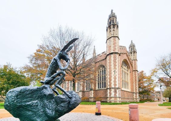 Washington University in St. Louis by null