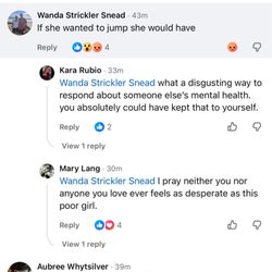 Samsnead Realty - Wanda's heartless remark about a woman struggling with suicidal ideation.