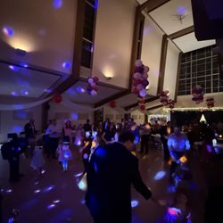 DJ Musical Entertainment