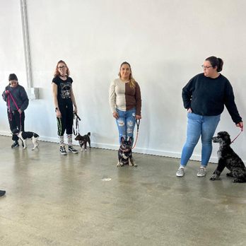Pampered Paws - Group training. - Pet Groomers Near Me - La Habra, California Pampered Paws - Group training. - Pet Groomers Near Me - La Habra, California