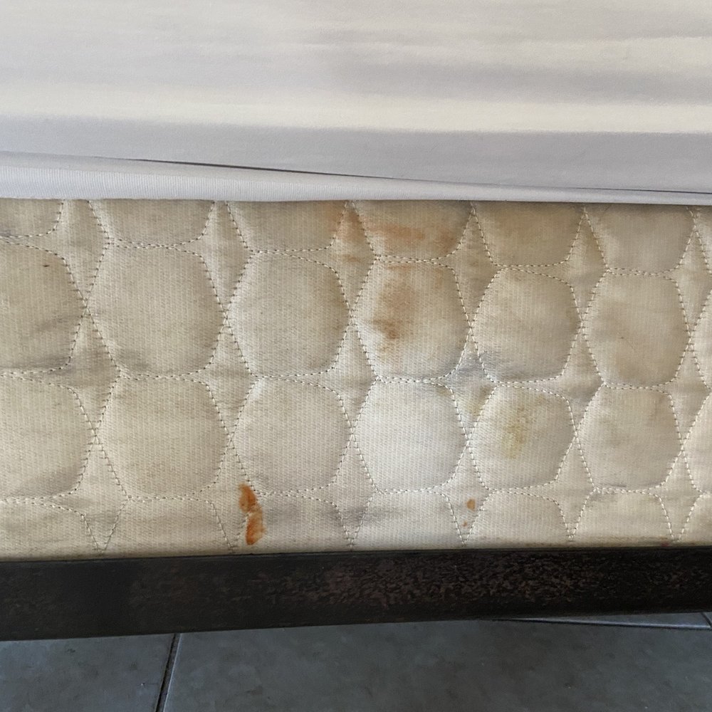 Hershey Motel - Blood, food, dirt and God only knows what else on the side of the box spring facing the door as you walk in the room! - Hotels Near Me - Seaside Heights, New Jersey