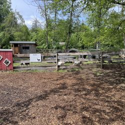 Meadows Family Farm